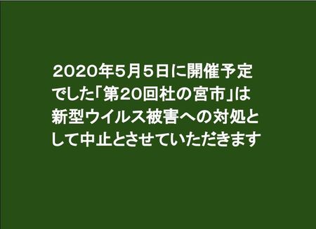 200226 杜の宮市中止のお知らせ (2).jpg